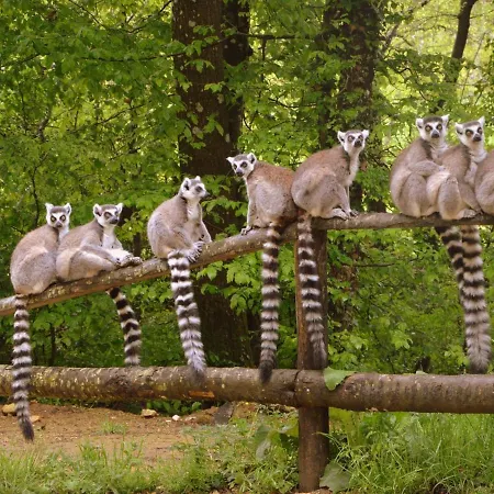 With Garden Near Beautiful Golf Course Villa *