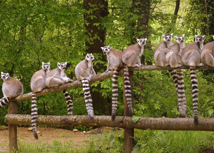 With Garden Near Beautiful Golf Course Villa *